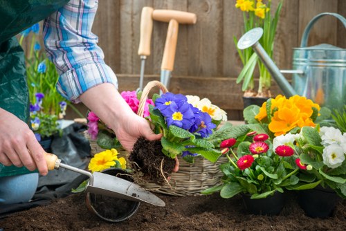 Close-up of a gardener assessing planting beds