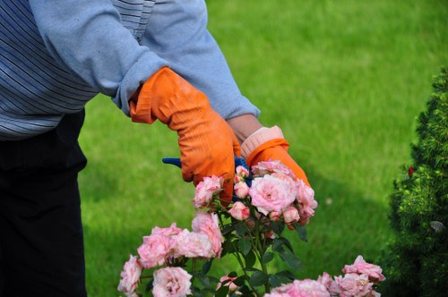 A gardener wearing orange gloves is pruning or tending to a cluster of pink roses in a well-maintained garden, with lush green grass and neatly trimmed shrubs visible in the background. The garden features a variety of plant elements, including flowering bushes and a small hedge, with the focus on the vibrant pink blossoms and the gardener's hands carefully managing the plant. The natural outdoor setting is illuminated by bright daylight, suggesting fair weather, and the overall scene reflects professional gardening upkeep typical of outdoor maintenance services in Forest Gate, London. This image visually supports services such as garden pruning, flower bed management, and general lawn care offered by Garden Maintenance Forest Gate, highlighting attention to detail and garden health in a residential outdoor space.