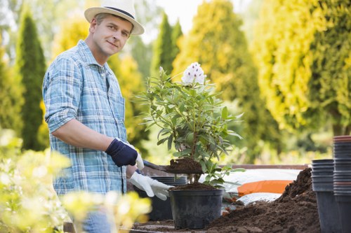 Gardening team discussing a maintenance plan in a suburban green space