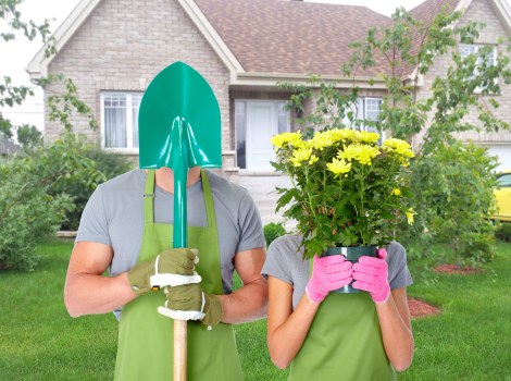 Gardener trimming a dense hedge with professional tools