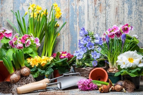 A collection of potted spring flowers, including yellow daffodils, pink primroses, purple hyacinths, and white primroses with yellow centers, arranged on a weathered wooden surface outdoors. The plants are in various pots, some terracotta, and a wicker basket, with garden tools such as a small gardening trowel and hand rake placed among the plants. The background features a rustic wooden panel wall painted in faded blue and white, suggesting a garden or outdoor patio setting. The scene highlights vibrant natural colors and textures of freshly flowering plants, ready for garden planting or maintenance work typical of professional gardening services in Forest Gate.
