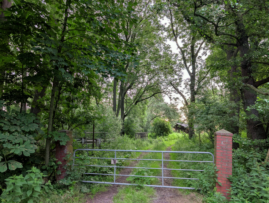 A weathered, light blue wooden gate with pointed finials on top, slightly open to reveal a narrow dirt pathway leading into a lush garden. The garden features a variety of trees with dense green folia